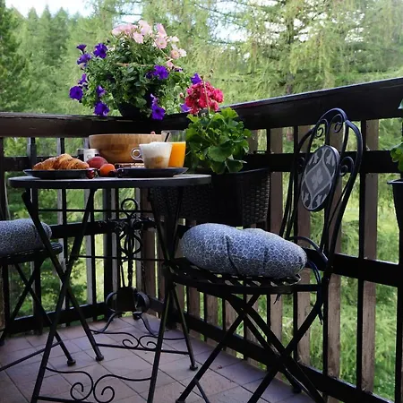 Window On The Mountains